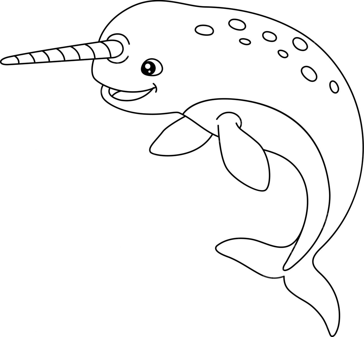 Narwhal coloring page isolated for kids drawing aquatic book vector book drawing wing drawing ring drawing png and vector with transparent background for free download
