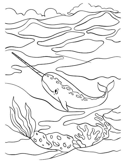 Page narwhale images