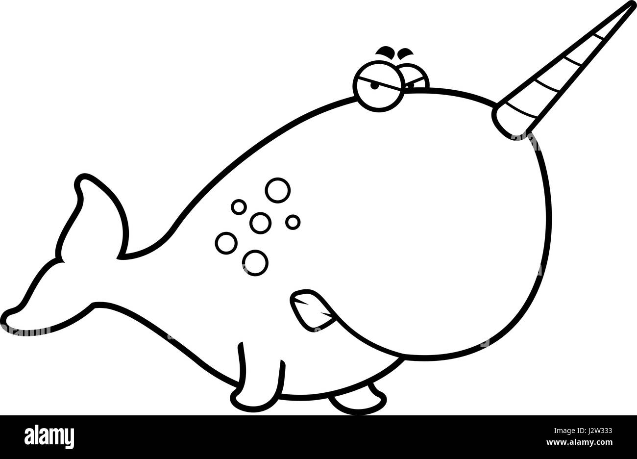 Narwhal animal vector hi