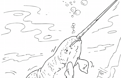 Dolphins and whales interactive