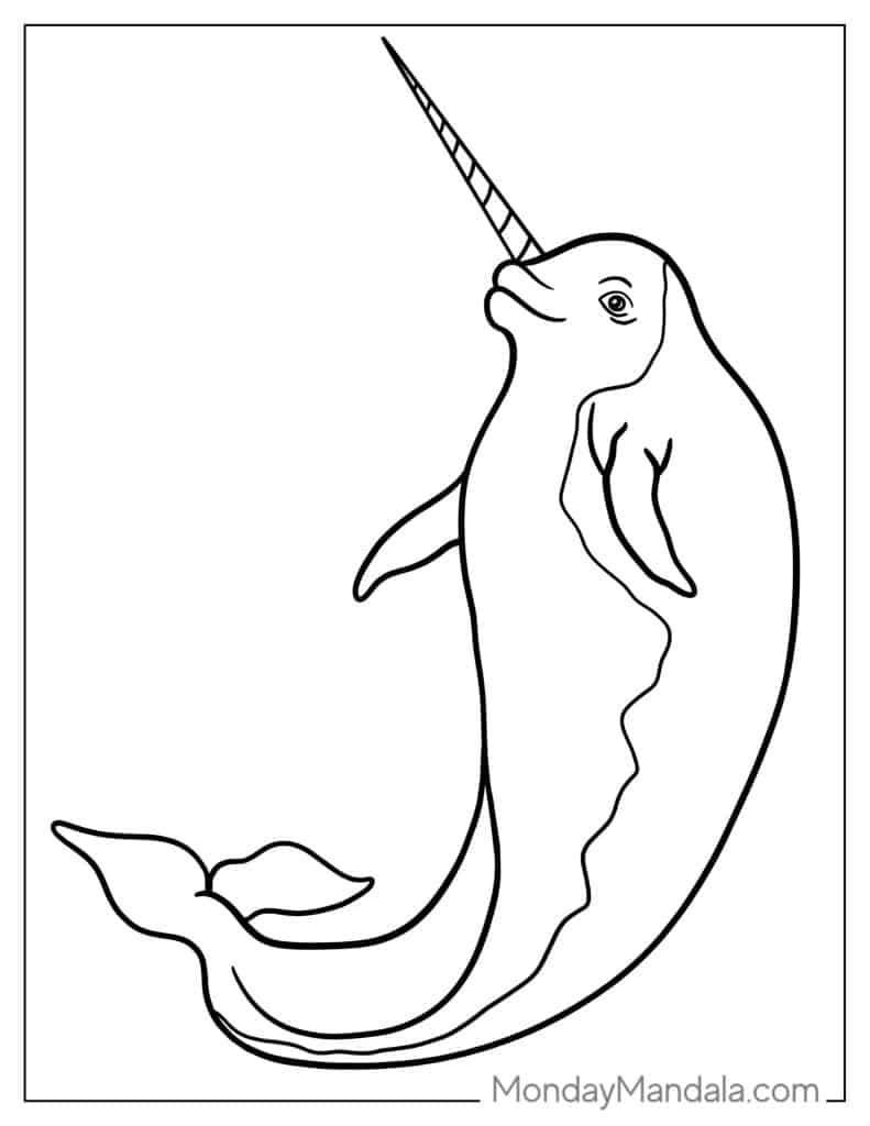 Narwhal coloring pages free pdf printables