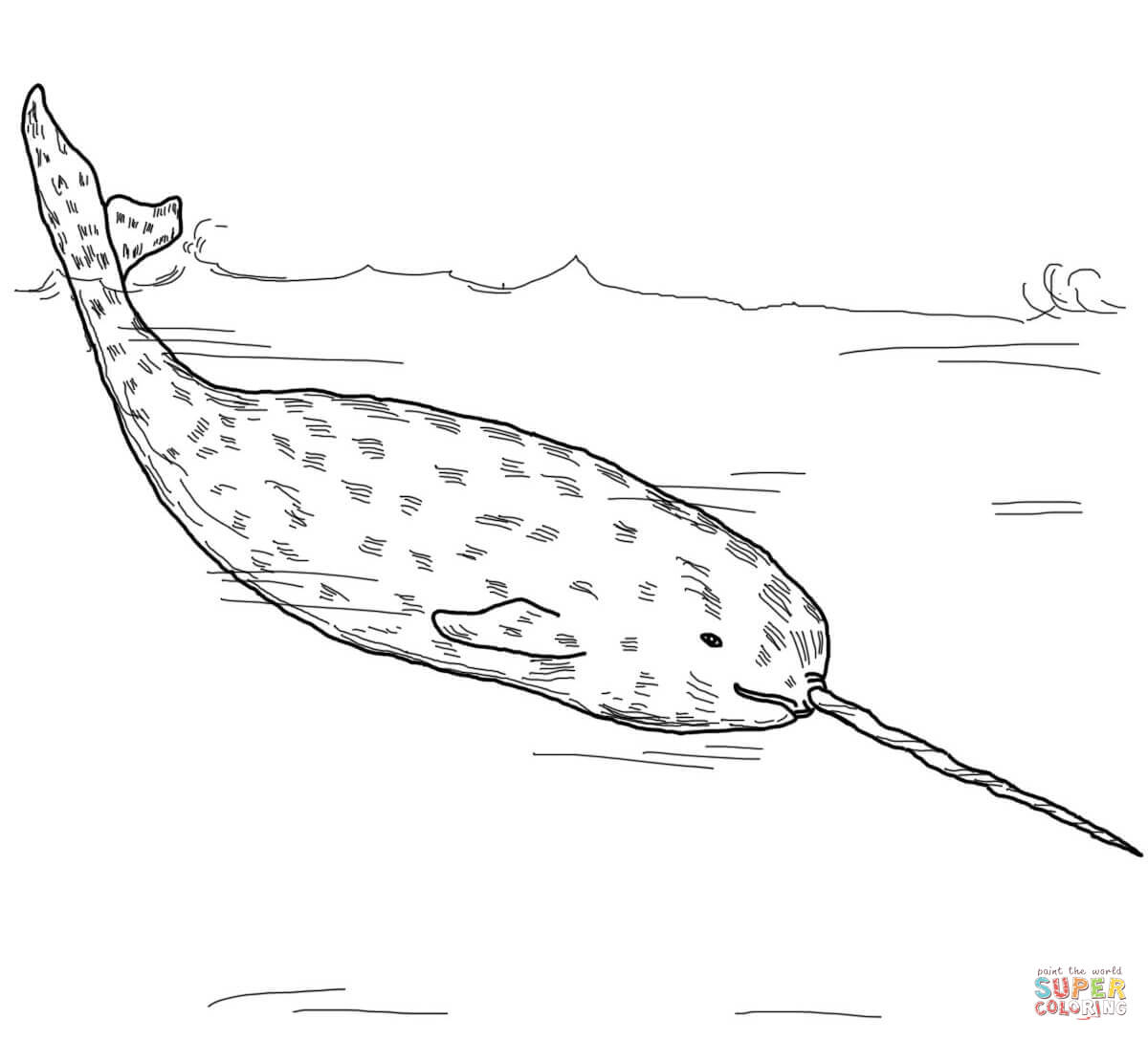 Arctic whale narwhal coloring page free printable coloring pages