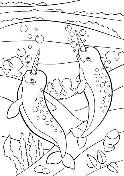 Cartoon narwhal fish stock illustrations royalty