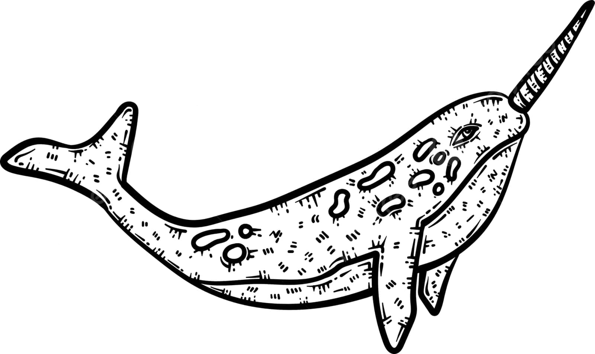 Narwhale coloring page png transparent images free download vector files