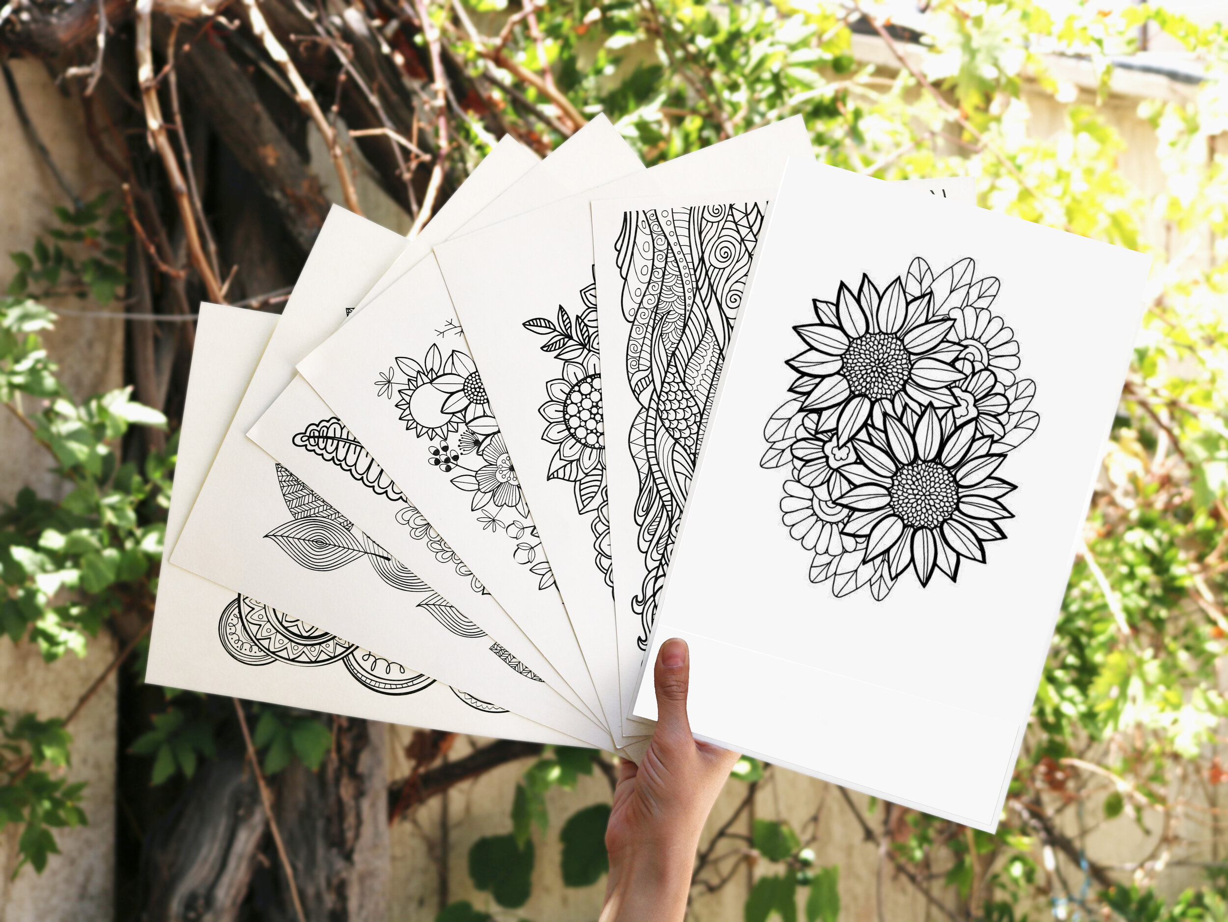 Flower coloring pages