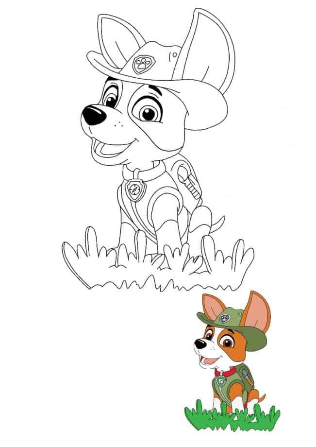 Paw patrol coloring pages