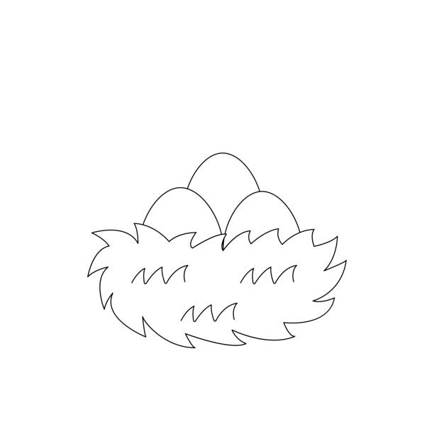 Nest coloring page stock illustrations royalty