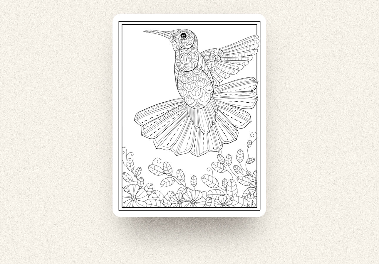 Best procreate coloring pages