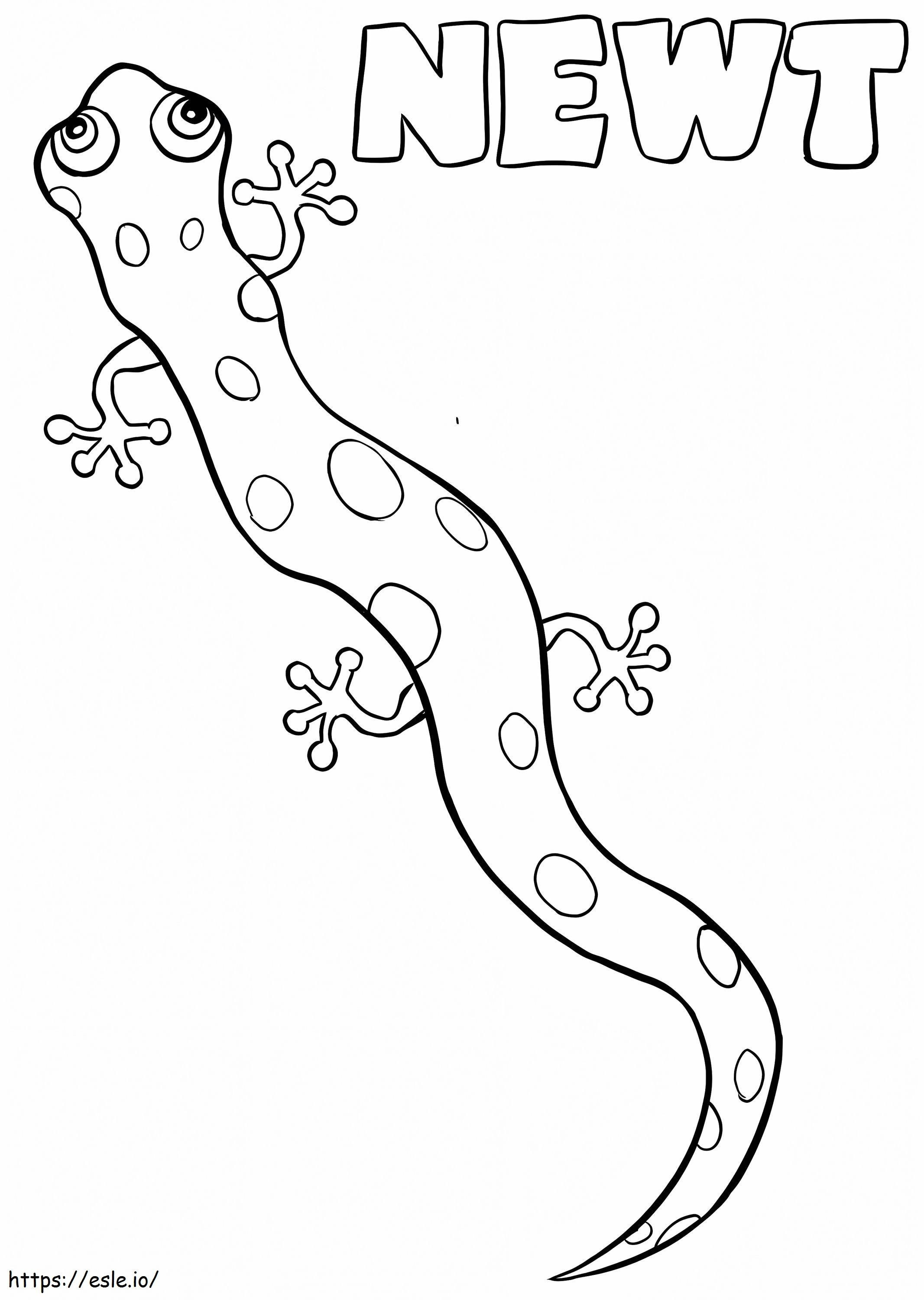 Ugly newt coloring page