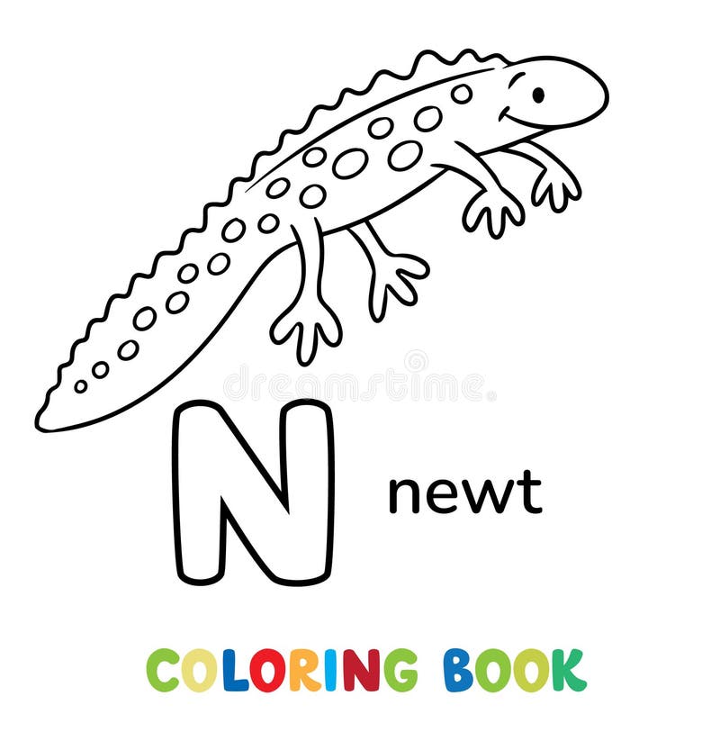 Newt animals abc coloring book for kids vector stock vector