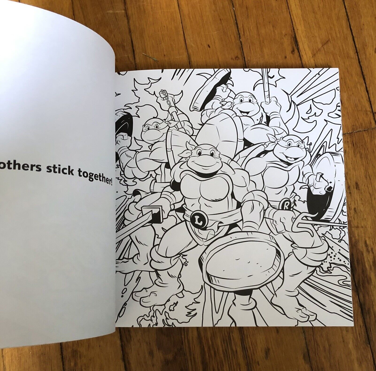 Teenage mutant ninja turtles coloring book kickin it old school tmnt