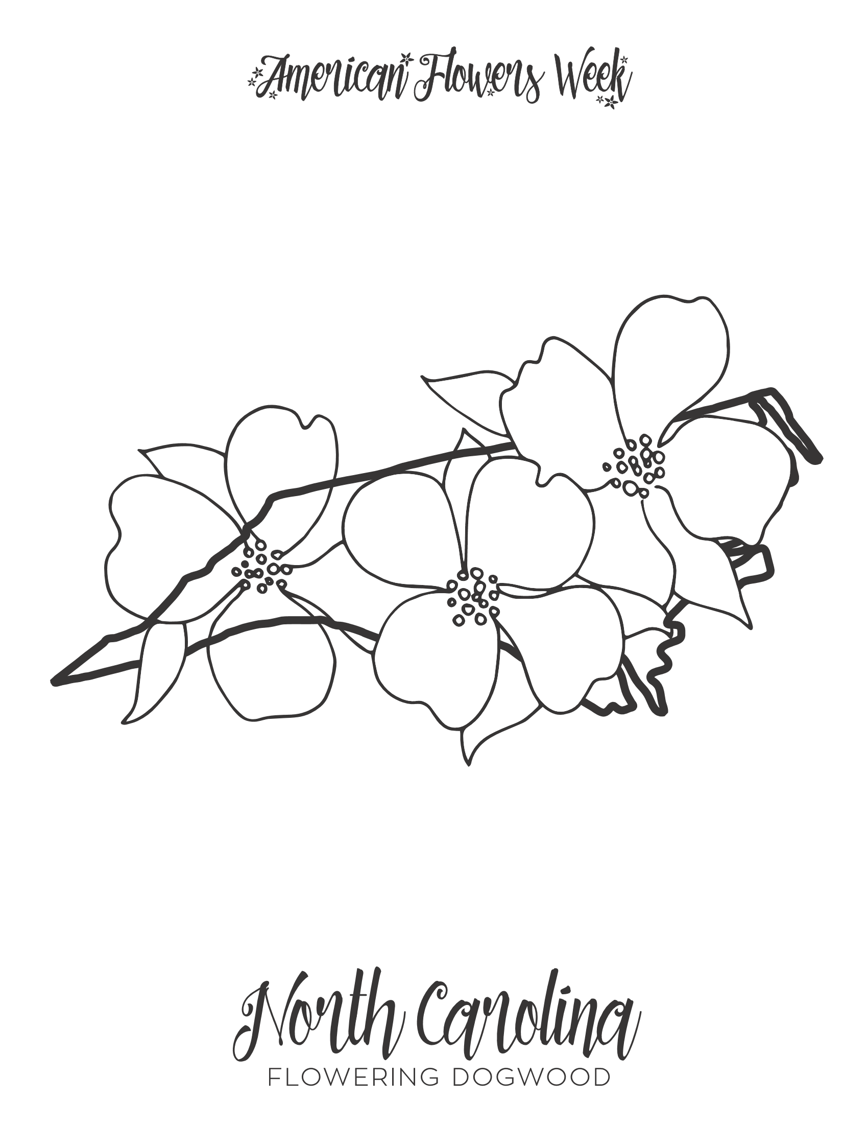 State flowers â free coloring pages â american flowers week