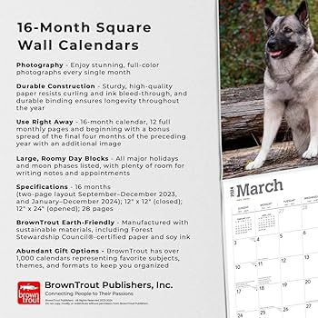 Norwegian elkhounds x inch monthly square wall calendar browntrout animals dog breeds publishers inc browntrout editing team browntrout publishers design team browntrout publishers books