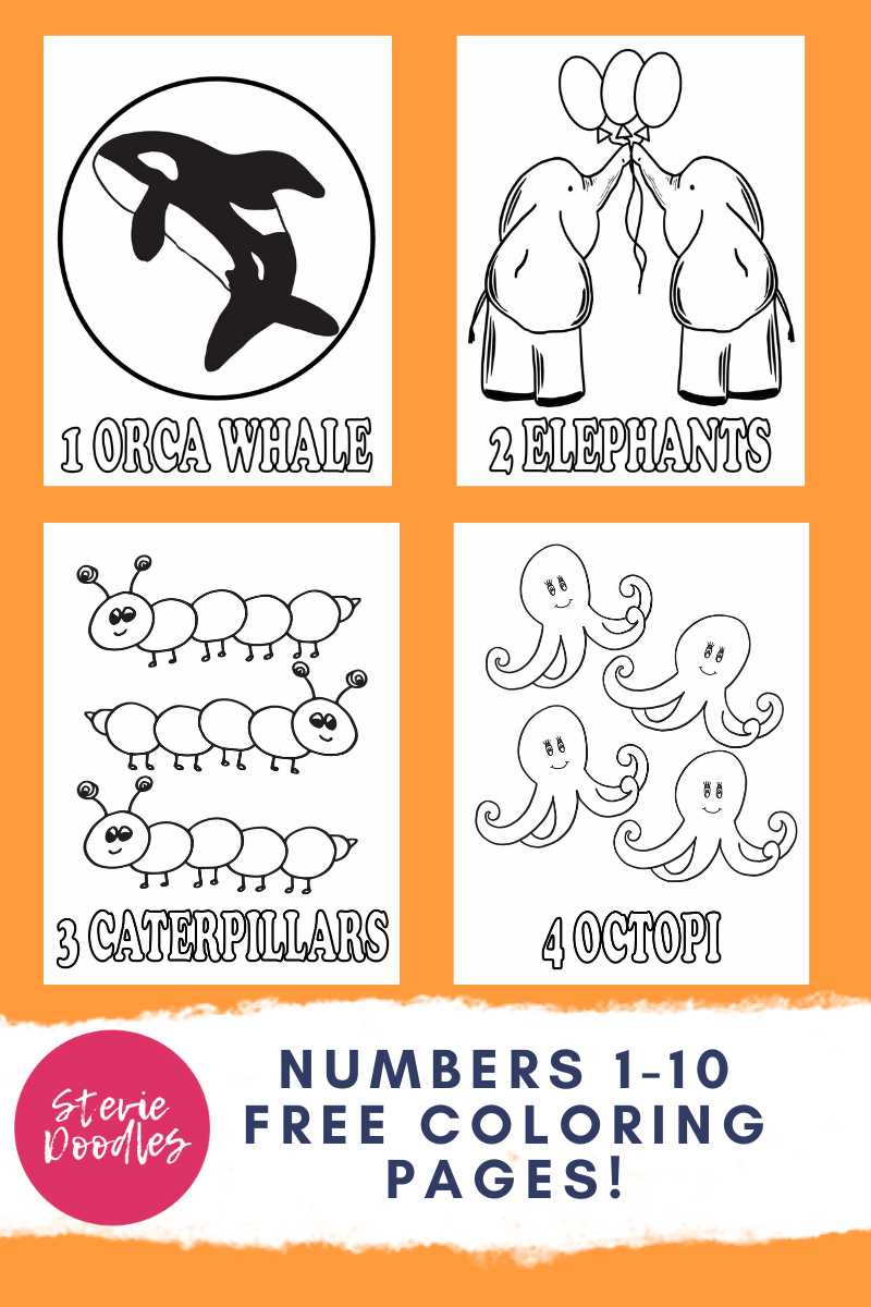 Free animal numbers