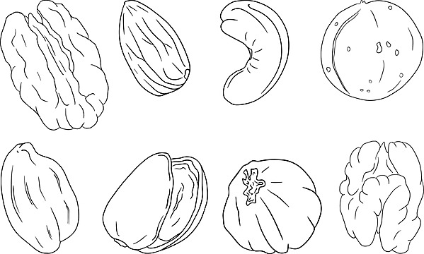 Nuts coloring pages png vector psd and clipart with transparent background for free download