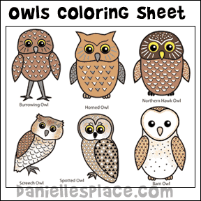 Owl crafts and learning activities for kids