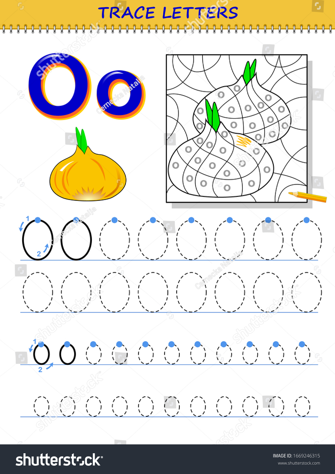 Tracing letter o study alphabet printable stock vector royalty free