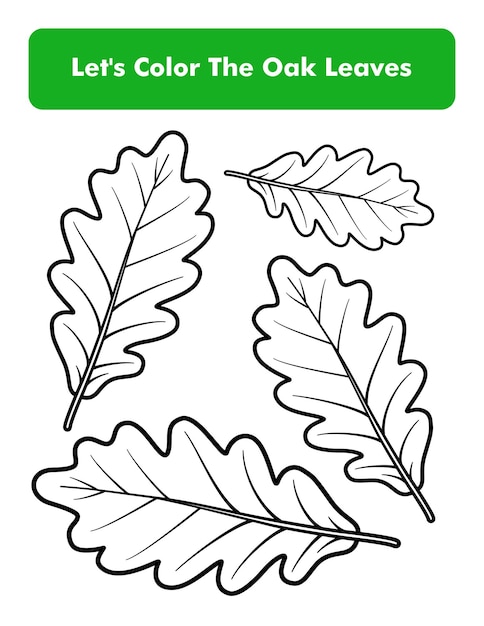 Premium vector oak leaves coloring book page in letter page size children coloring worksheet premium vector element