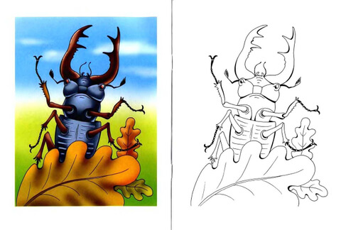 Stag beetle coloring page free printable coloring pages