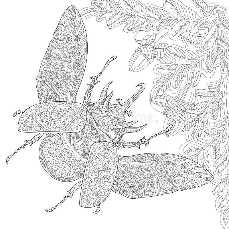 Adult coloring beetle stock illustrations â adult coloring beetle stock illustrations vectors clipart