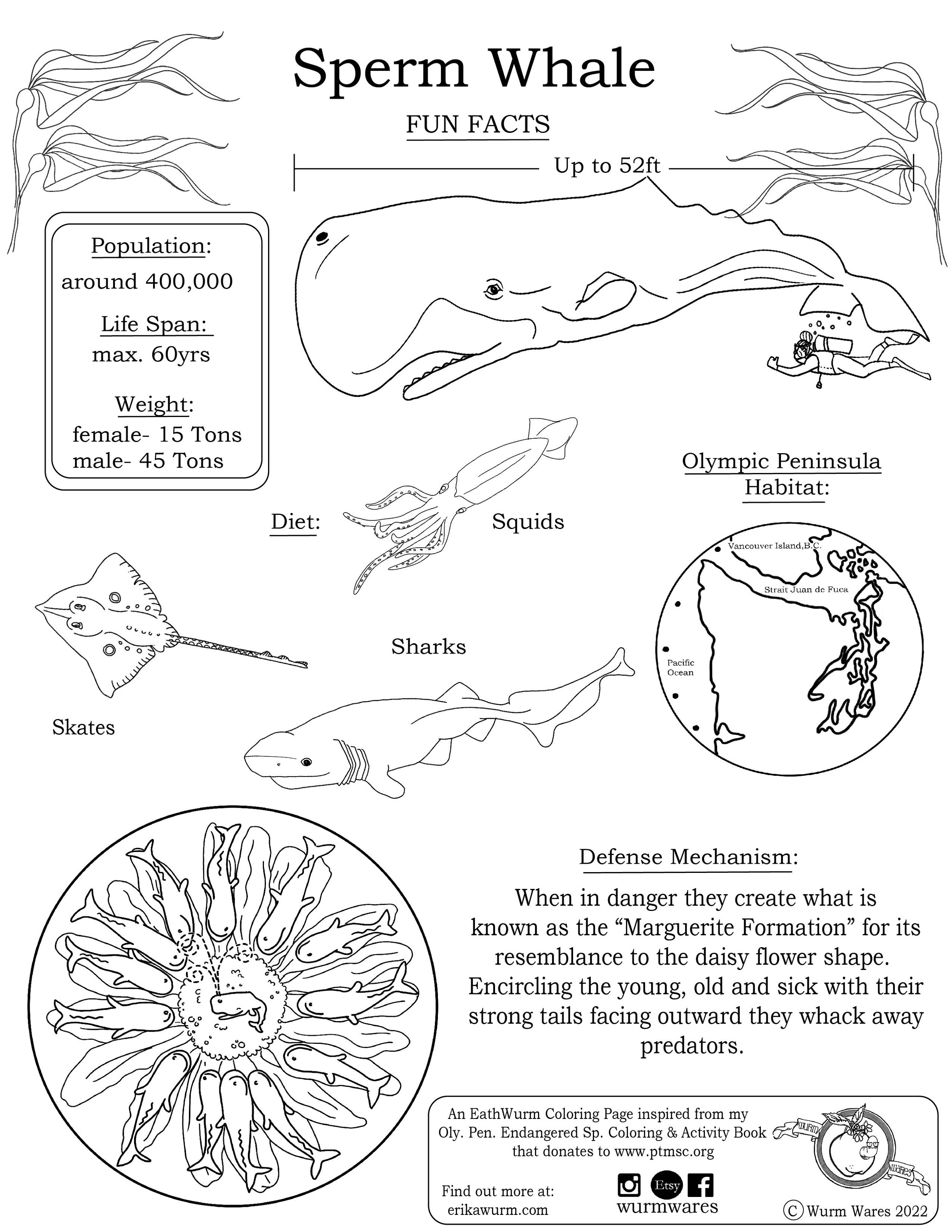 Coloring pages â wurm wares by erika wurm