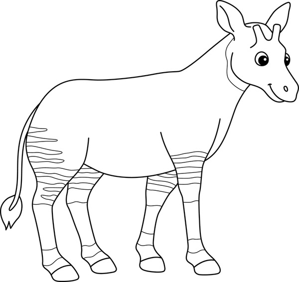 Hundred colored okapi royalty