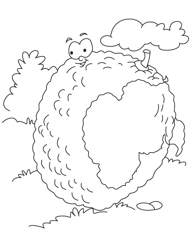 Lychee fruit coloring pages download free lychee fruit coloring pages for kids best coloring pages