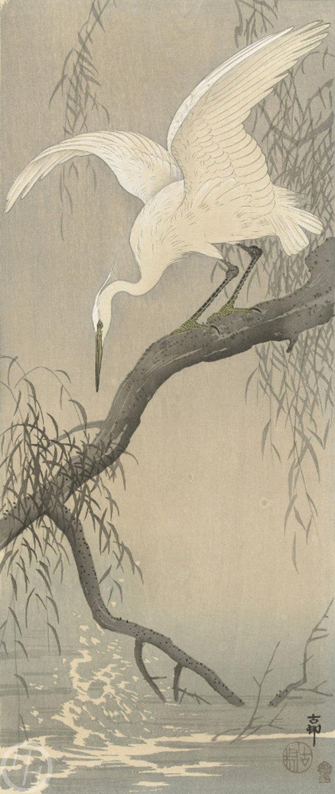 Japanese art print white heron on tree branch by ohara koson woodblock giclãe print fine art asian art cultural art birds