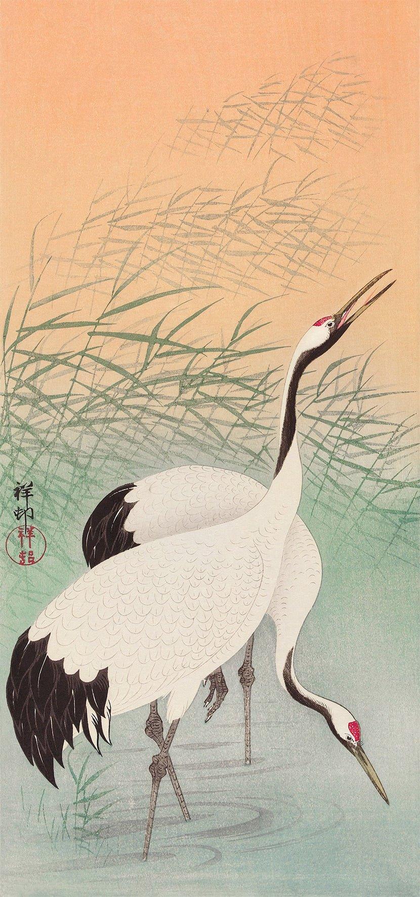 Japanese art prints two cranes by ohara koson buy now