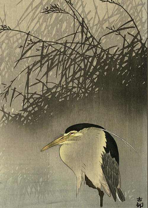 Heron at the new moon greeting card by ohara koson
