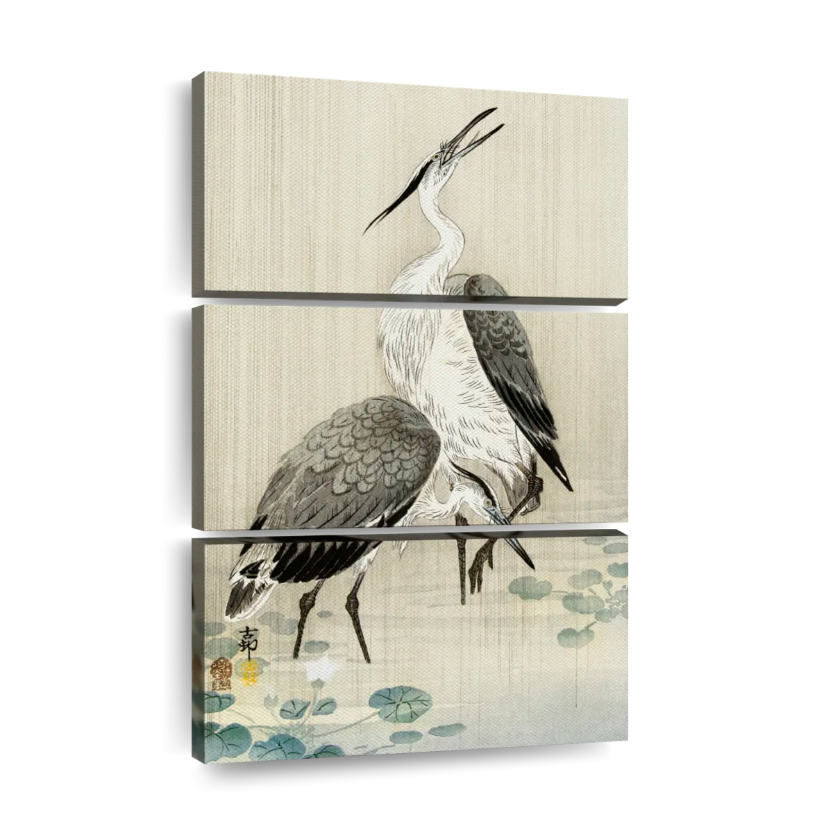 Two herons in the rain art canvas prints frames posters