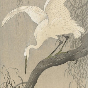 Japanese art print white heron on tree branch by ohara koson woodblock giclãe print fine art asian art cultural art birds