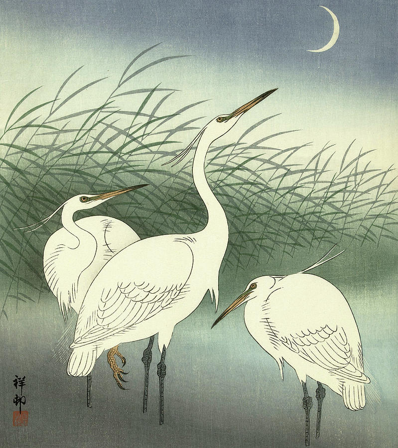 Herons in shallow water painting by ohara koson