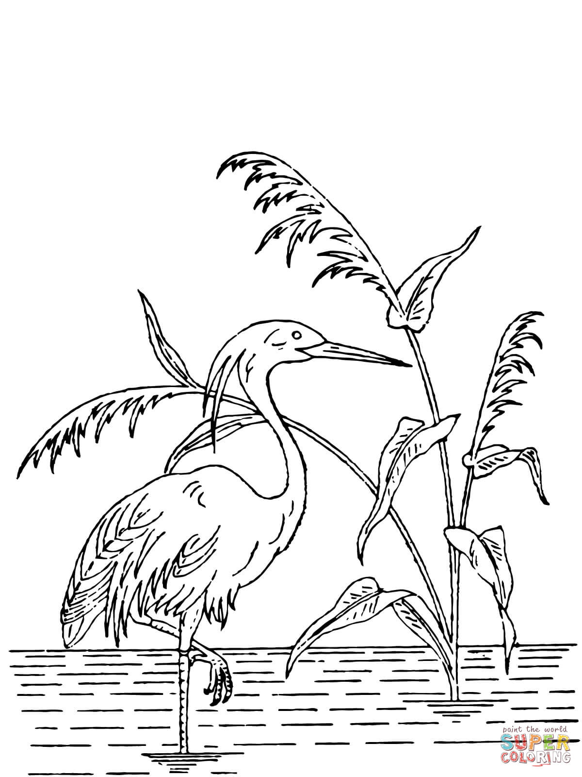 Crested heron coloring page free printable coloring pages