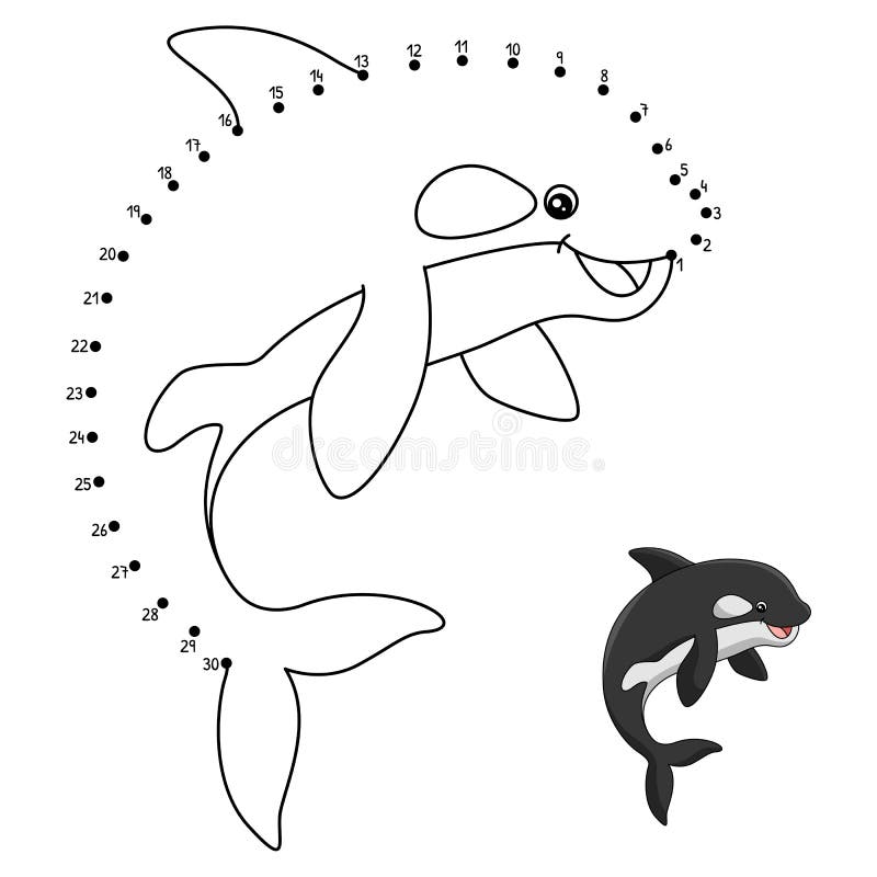Orca coloring stock illustrations â orca coloring stock illustrations vectors clipart