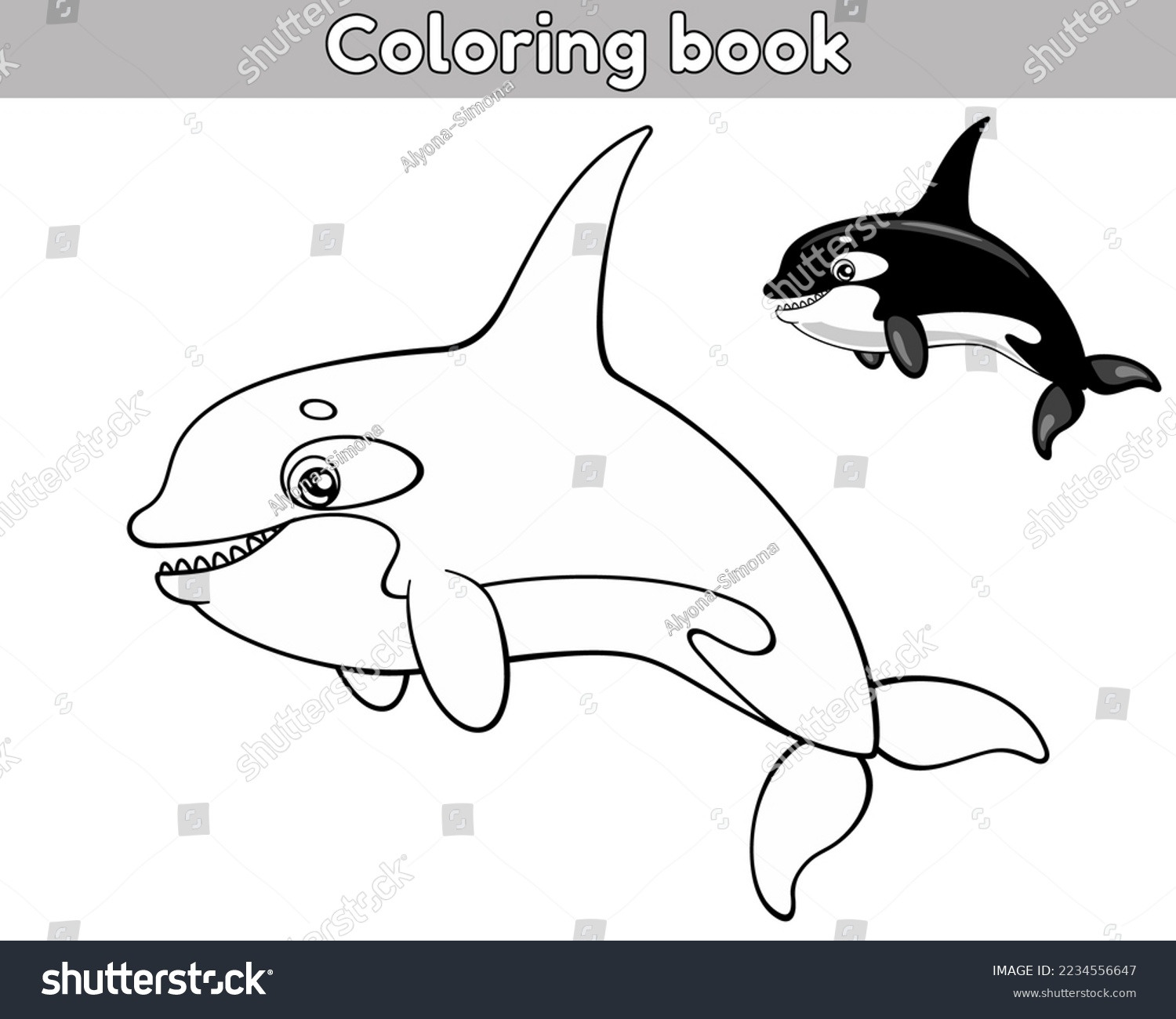 Orca color images stock photos d objects vectors