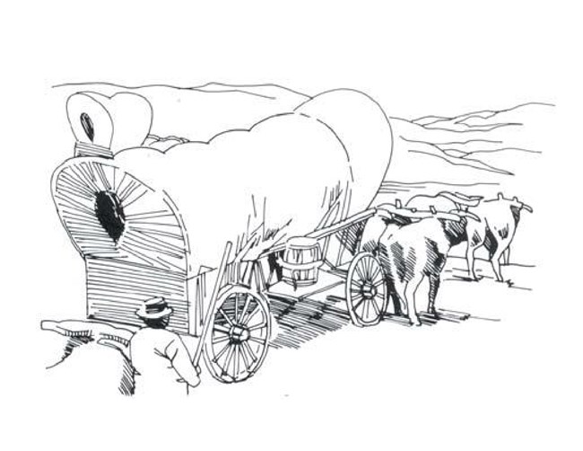 Activity sheets