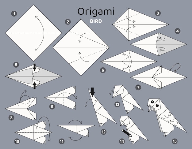 Premium vector bird origami scheme tutorial moving model origami for kids step by step how to make a cute origami