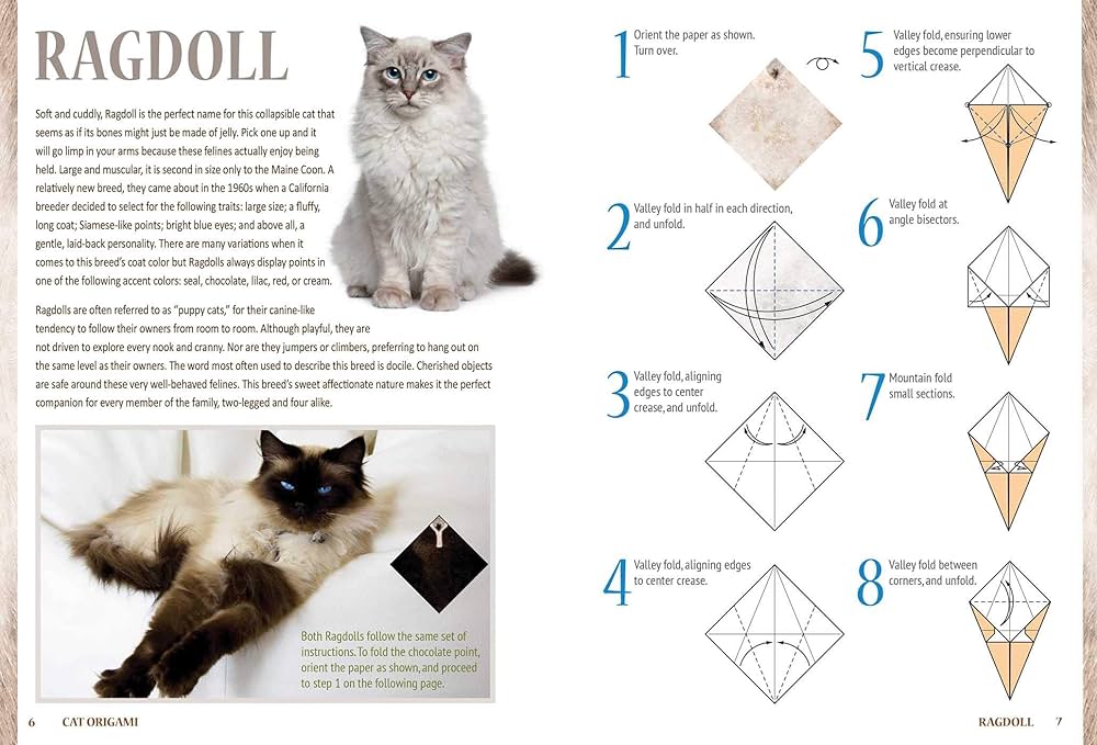 Cat origami origami books diaz roman books