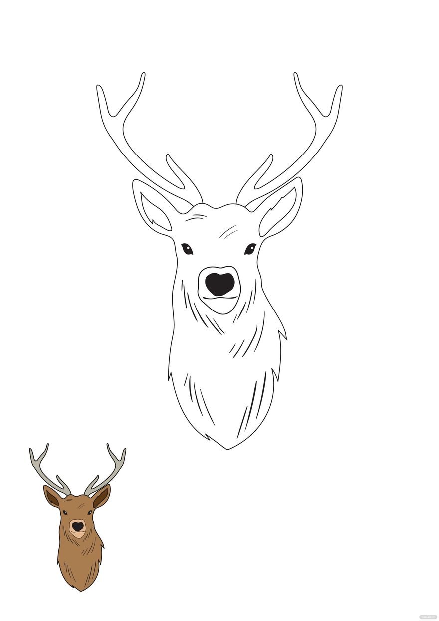 Deer coloring page in pdf