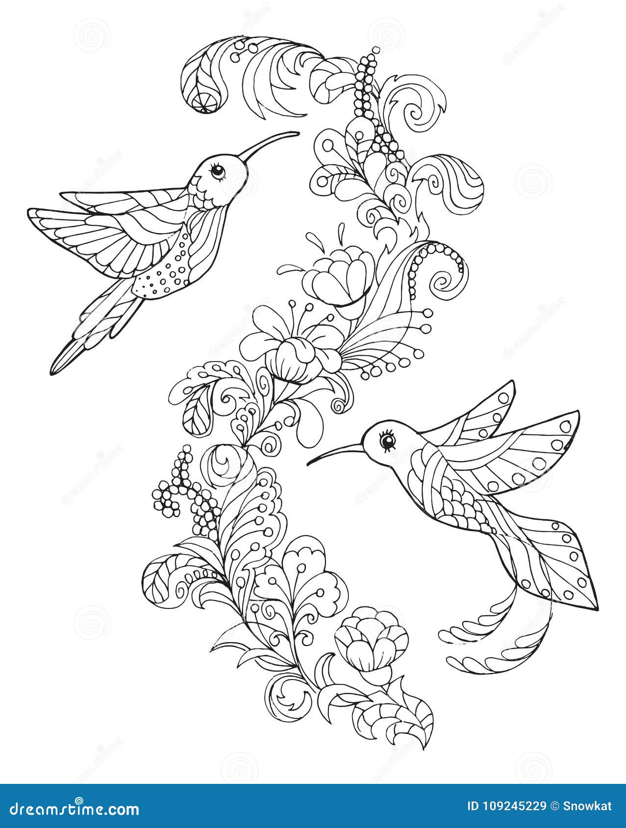 Hummingbird coloring stock illustrations â hummingbird coloring stock illustrations vectors clipart
