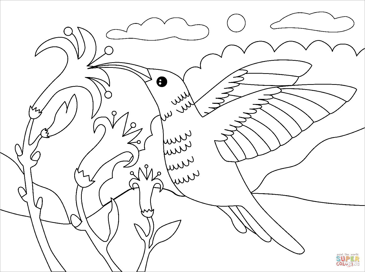 Hummingbird coloring page free printable coloring pages