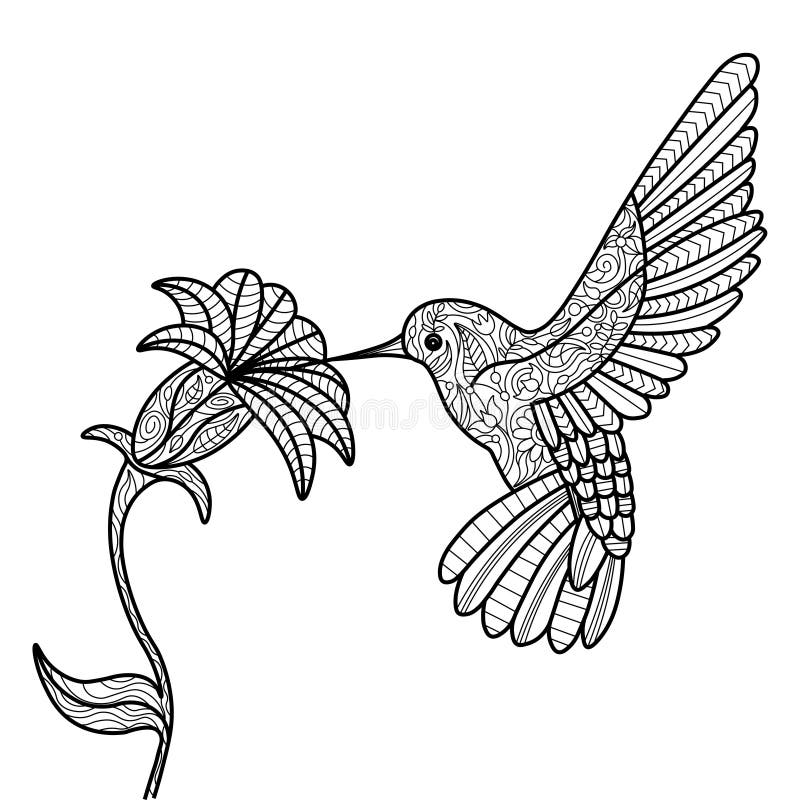 Ornament hummingbird stock illustrations â ornament hummingbird stock illustrations vectors clipart