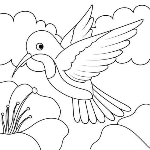 Cartoon hummingbird coloring page free printable coloring pages