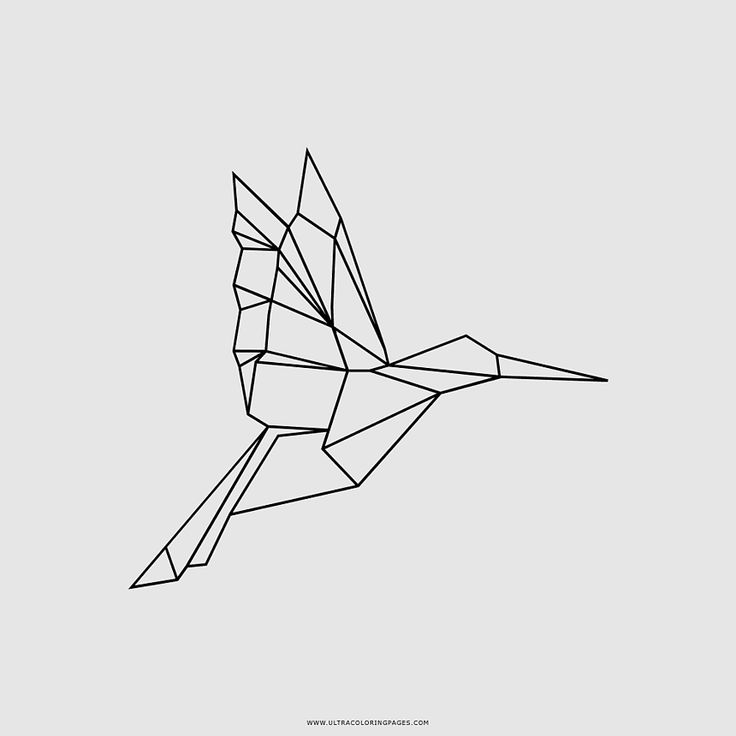 Kolibri ausmalbild hummgbird art paper ifwe colorg book triangle symmetry color paper tattoo colorg book colorg books colorful backgrounds