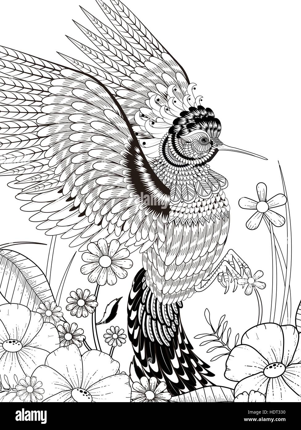 Hummingbird flower vector hi