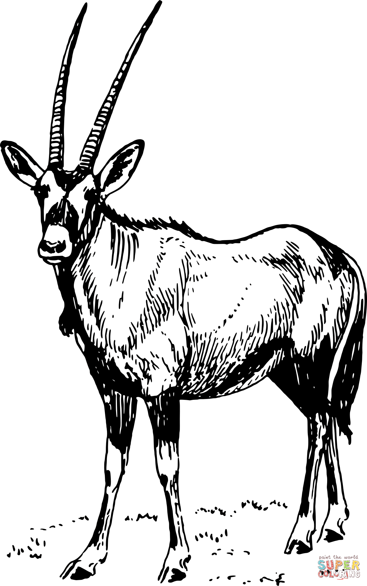 Vintage oryx coloring page free printable coloring pages