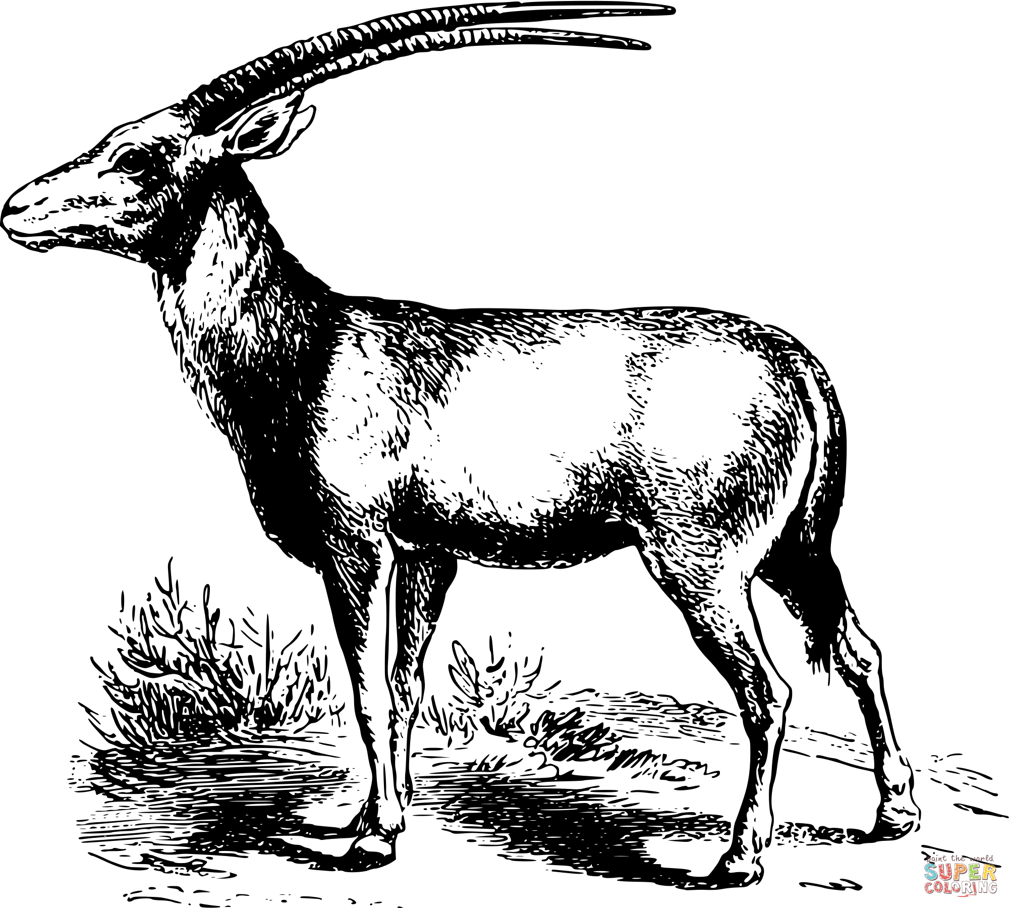 Vintage oryx coloring page free printable coloring pages
