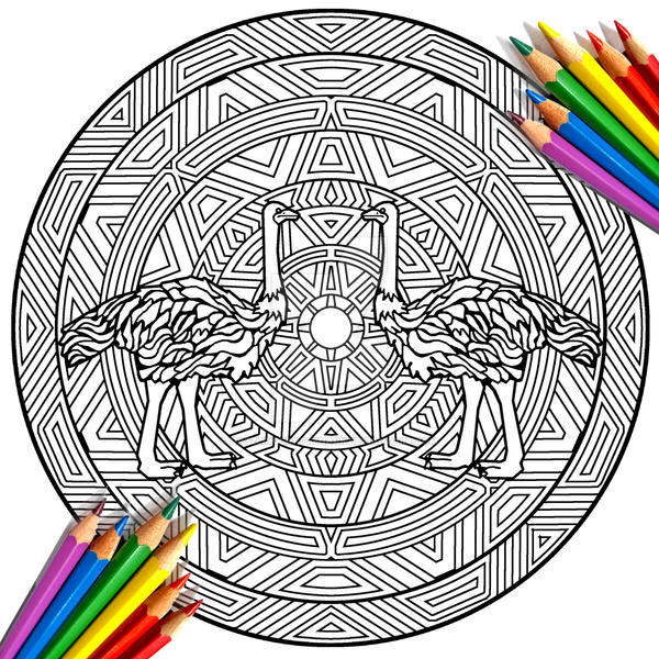 Ostrich mandala coloring book page by dazzlingcraftshack on