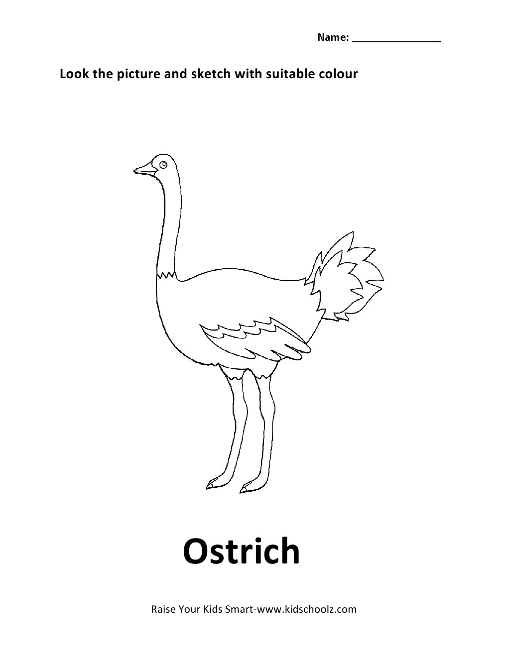 Birds colouring worksheet
